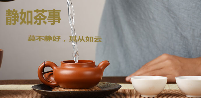 杭州高级茶艺师培训机构有哪些呢